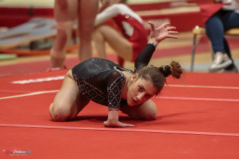 Christmas Gym Cup 2018 - WAG (196)