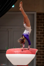 Christmas Gym Cup 2018 - WAG (53)