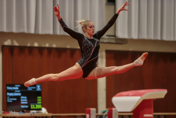 Christmas Gym Cup 2018 - WAG (187)