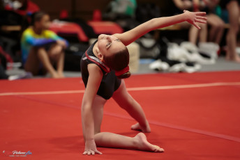 Christmas Gym Cup 2018 - WAG (124)