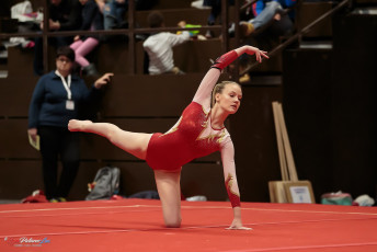 Christmas Gym Cup 2018 - WAG (141)