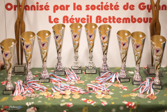 Christmas Gym Cup 2018 - WAG (202)