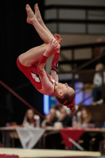 Christmas Gym Cup 2018 - WAG (156)