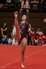 Christmas Gym Cup 2018 - WAG (86)