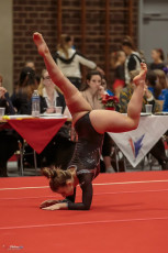 Christmas Gym Cup 2018 - WAG (174)