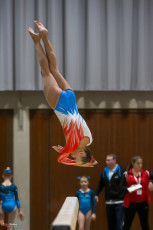 Christmas Gym Cup 2018 - WAG (22)