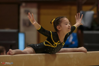 Christmas Gym Cup 2018 - WAG (27)