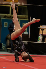 Christmas Gym Cup 2018 - WAG (180)