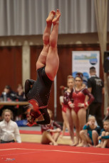 Christmas Gym Cup 2018 - WAG (178)