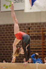 Christmas Gym Cup 2018 - WAG (199)