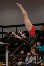 Christmas Gym Cup 2018 - WAG (102)