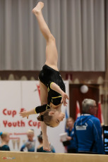 Christmas Gym Cup 2018 - WAG (25)