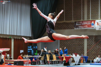 CGC 2019  Open - Poussines  (329)