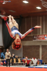 CGC 2019  Open - Poussines  (322)