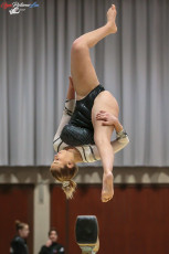 CGC 2019  Open - Poussines  (308)