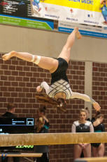 CGC 2019  Open - Poussines  (282)