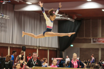 CGC 2019  Open - Poussines  (212)