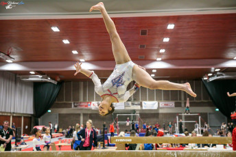 CGC 2019  Open - Poussines  (195)