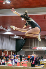 CGC 2019  Open - Poussines  (174)