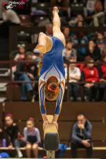 CGC 2019  Open - Poussines  (147)