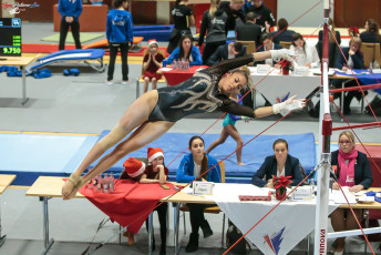 CGC 2019  Open - Poussines  (92)