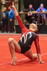 CGC 2019  Open - Poussines  (341)