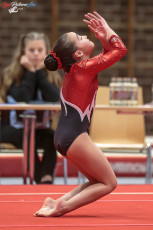 CGC 2019  Open - Poussines  (340)