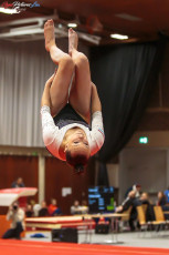 CGC 2019  Open - Poussines  (327)