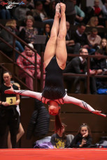 CGC 2019  Open - Poussines  (78)