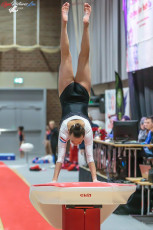 CGC 2019  Open - Poussines  (54)