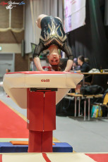 CGC 2019  Open - Poussines  (29)