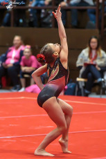 CGC 2019  Open - Poussines  (241)