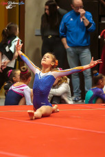 CGC 2019  Open - Poussines  (226)