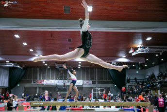 CGC 2019  Open - Poussines  (217)