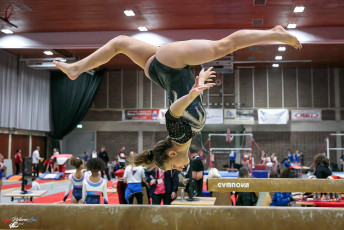 CGC 2019  Open - Poussines  (183)