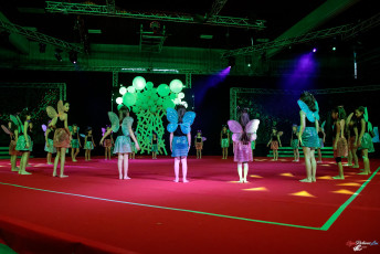 2020-02-01 Mini Gala - Noël Vo