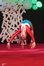 20200201 Gala LRBettembourg_258