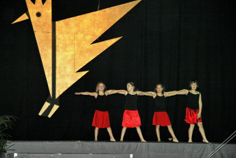 tn_Gala2008 (270)
