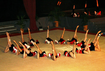 tn_Gala2008 (206)