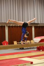 2023-03-19 11.38.41-1