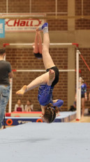 2023-03-19 09.55.23-2