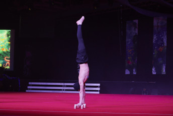 DS Visuals - Le réveil Bettembourg - Gala - 20240128-JPEG sRGB 300dpi-163