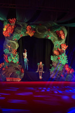 DS Visuals - Le réveil Bettembourg - Gala - 20240128-JPEG sRGB 300dpi-177