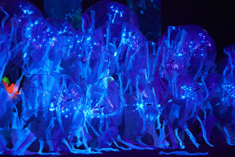 DS Visuals - Le réveil Bettembourg - Gala - 20240128-JPEG sRGB 300dpi-126