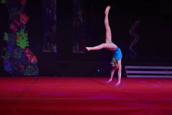 DS Visuals - Le réveil Bettembourg - Gala - 20240128-JPEG sRGB 300dpi-96