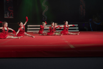 DS Visuals - Le réveil Bettembourg - Gala - 20240128-JPEG sRGB 300dpi-89