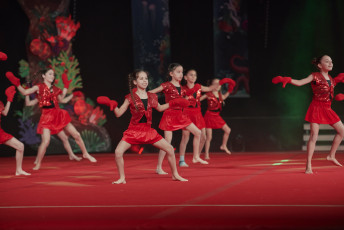 DS Visuals - Le réveil Bettembourg - Gala - 20240128-JPEG sRGB 300dpi-87