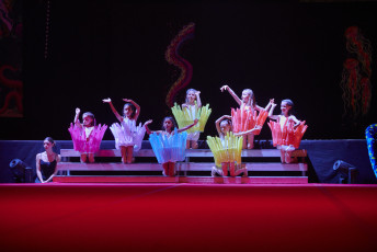 DS Visuals - Le réveil Bettembourg - Gala - 20240128-JPEG sRGB 300dpi-11