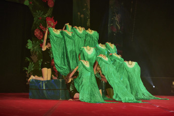 DS Visuals - Le réveil Bettembourg - Gala - 20240128-JPEG sRGB 300dpi-193