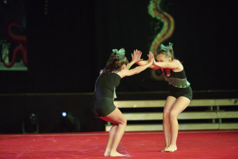 DS Visuals - Le réveil Bettembourg - Gala - 20240128-JPEG sRGB 300dpi-184